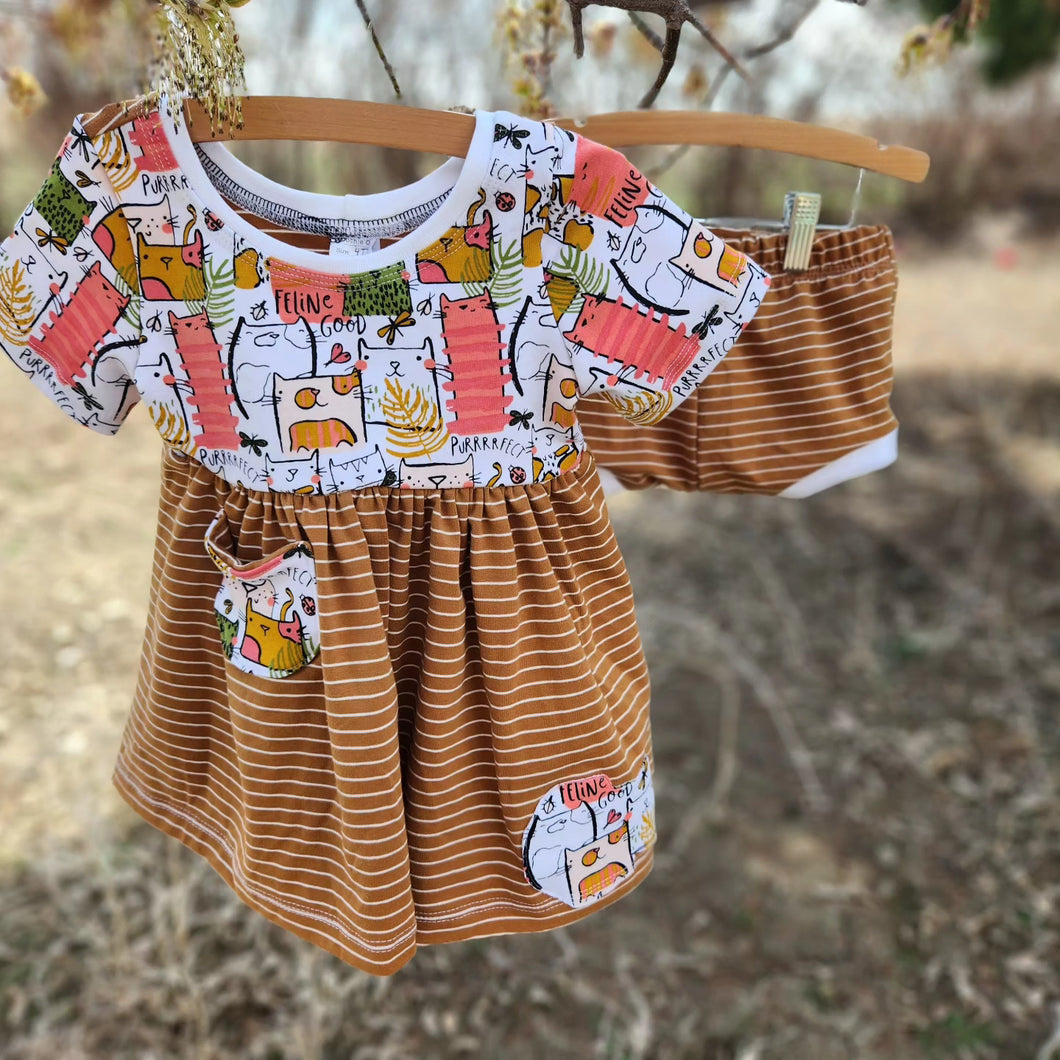 Cat and caramel stripe dress and short set 4T