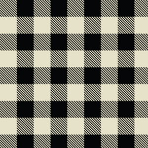 2025 Poncho Pre-order